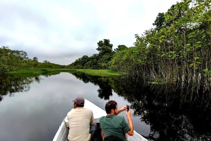 4-Day Amazon Jungle Expedition in Pacaya Samiria: Boat, Wildlife & Local Lore photo 5