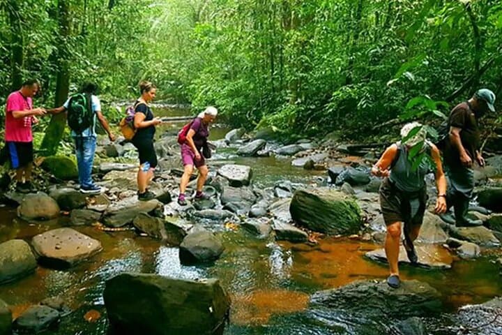 Sinharaja Rainforest Trekking: Private Day Trip with Local Rice & Curry