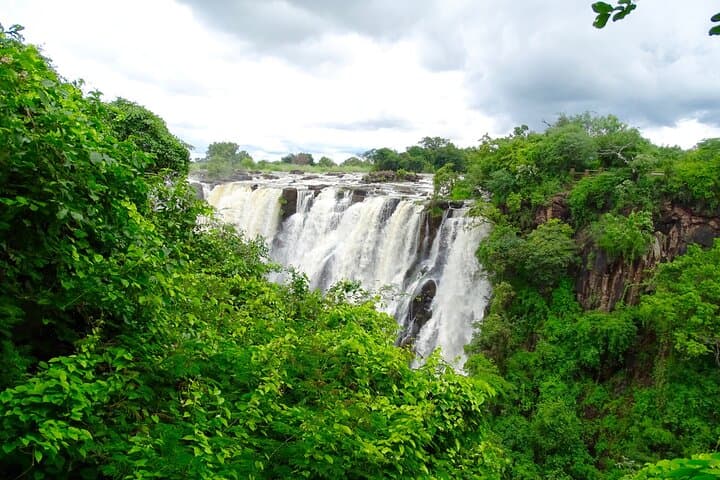 Zambia Victoria Falls Trail and Magical Rainforest Walk – Zambezi Views photo 4
