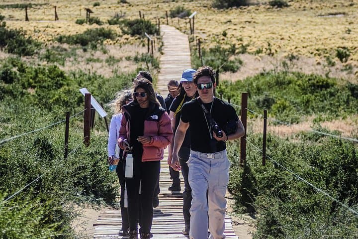 Monte León 4x4 Adventure: Penguins, Sea Lions & Patagonian Steppe Day Trip photo 4