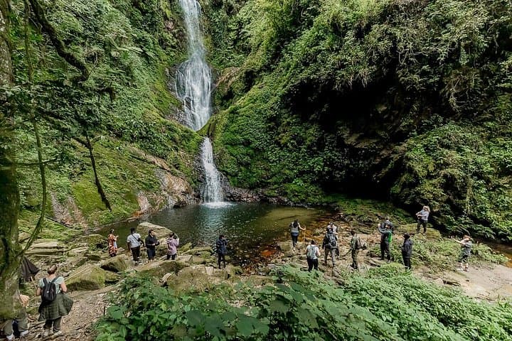 2-Day Nyungwe Chimpanzee Trek & Canopy Walk — Nyungwe National Park Adventure photo 3