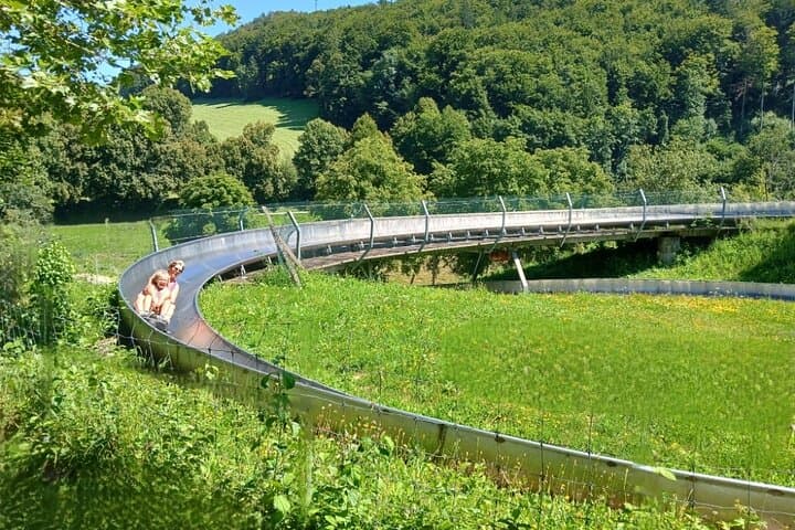 Alpine Coaster Fun Ride Near Interlaken — 500° Turns & Three-Ride Pass