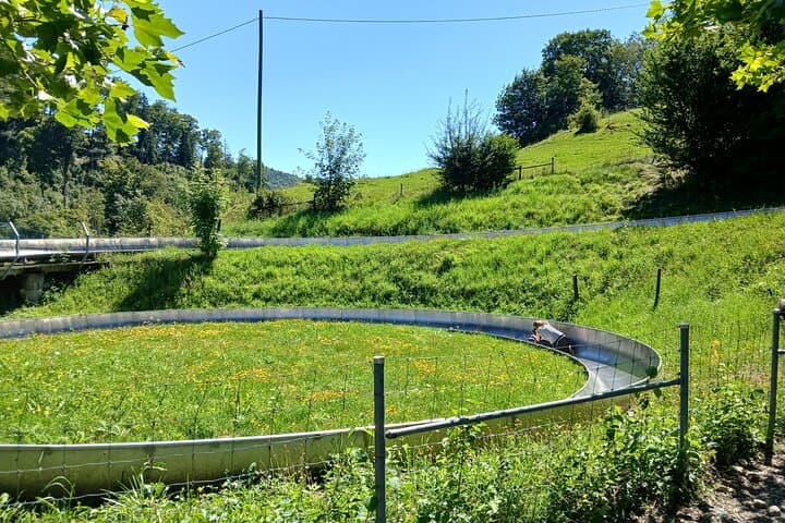 Alpine Coaster Fun Ride Near Interlaken — 500° Turns & Three-Ride Pass photo 6