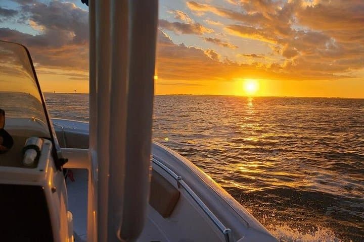 Private Sunset Cruise in Sarasota Bay: Dolphin-Watching on the Gulf at Sunset photo 2