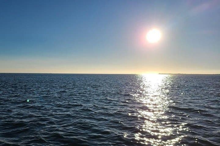 Private Sunset Cruise in Sarasota Bay: Dolphin-Watching on the Gulf at Sunset photo 4