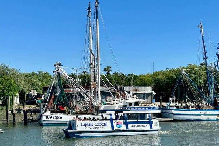 Morning Charleston Harbor Cruise — Fort Sumter, USS Yorktown & Dolphins