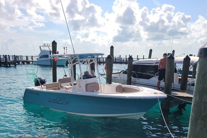 Sarasota Dock Hop Cruise: Intracoastal Restaurant & Bar Boat Tour photo 4