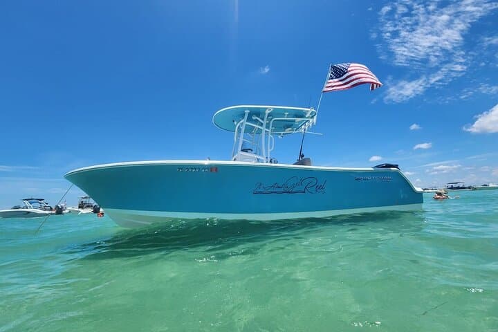 Private Sarasota Destination Cruise: Egmont Key, Stump Pass & Boca Grande Options photo 3