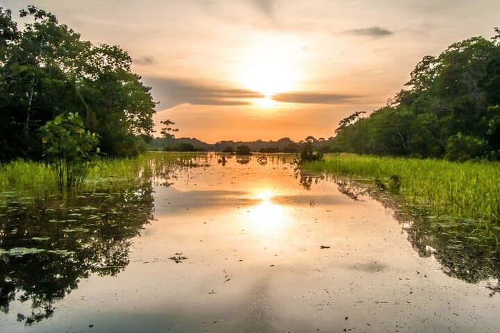Full-Day Amazon River Adventure from Iquitos — Wildlife, Culture & Pink Dolphins photo 2