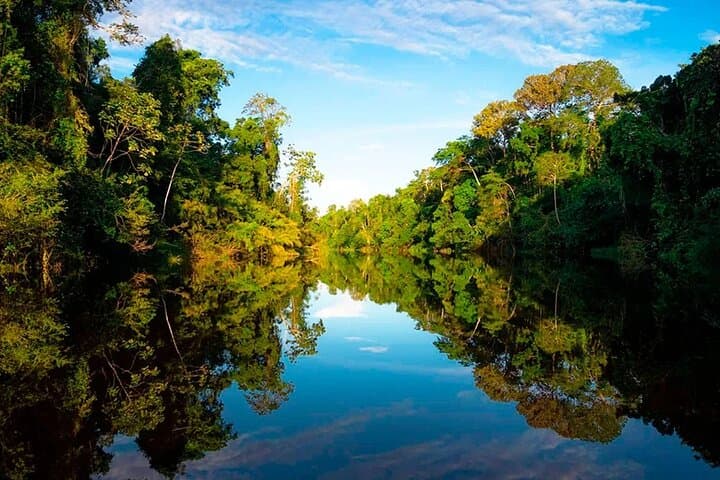 Amazon 2-Day Shipibo Cultural & Wildlife Adventure from Iquitos photo 5