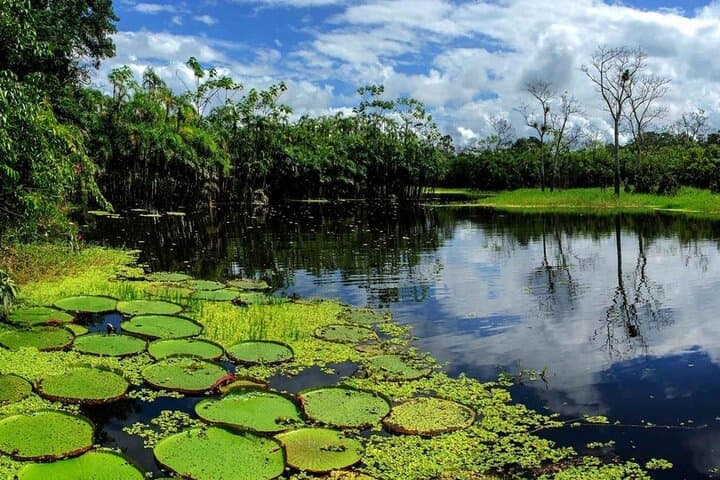 Full-Day Amazon River Adventure from Iquitos — Wildlife, Culture & Pink Dolphins photo 3