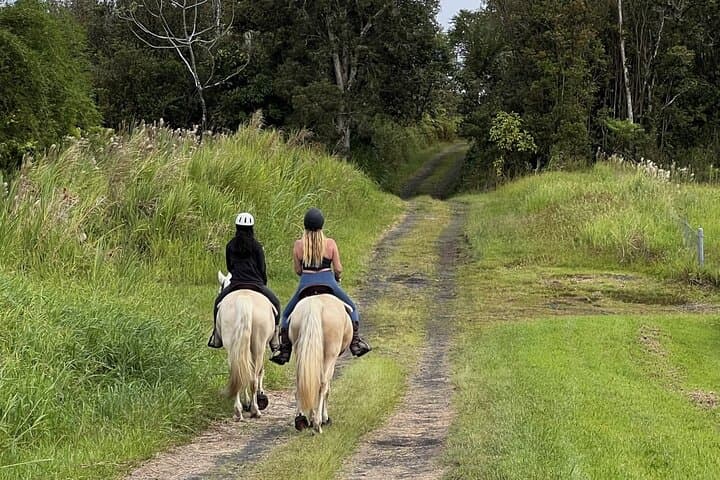 Small Group Rainforest Trail Ride in Wao Kele o Puna — Big Island Horseback Tours