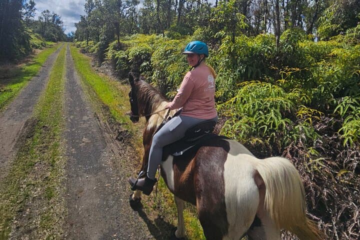 Small Group Rainforest Trail Ride in Wao Kele o Puna — Big Island Horseback Tours photo 2