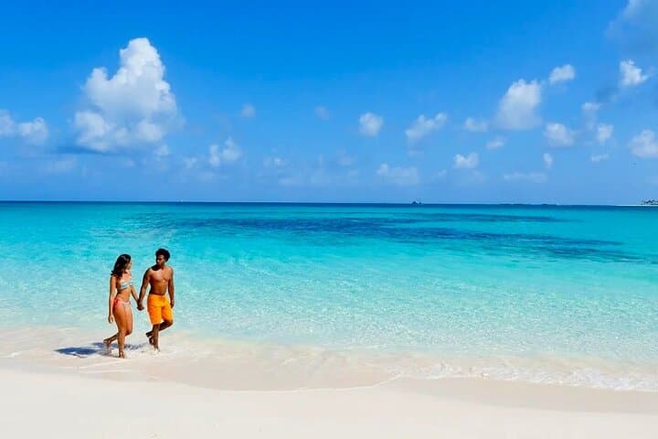 Private Nassau Swim with Pigs, Turtles & Snorkel: Rose Island Charter