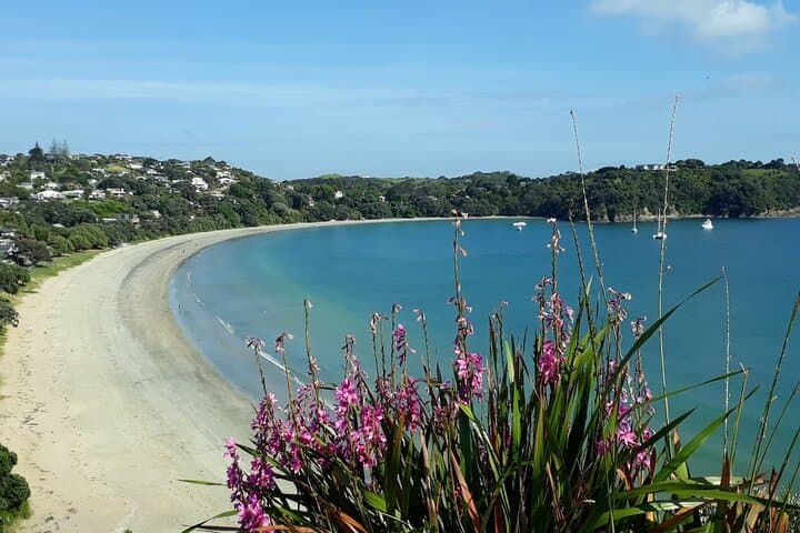 Waiheke Island Private Tour: Jazz‑Backed Wineries, Beaches & Local Flavour photo 3