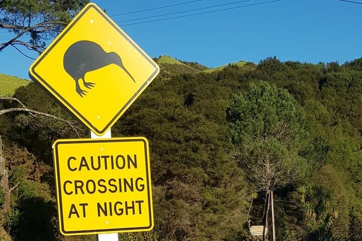 Waiheke Island Private Tour: Jazz‑Backed Wineries, Beaches & Local Flavour photo 4