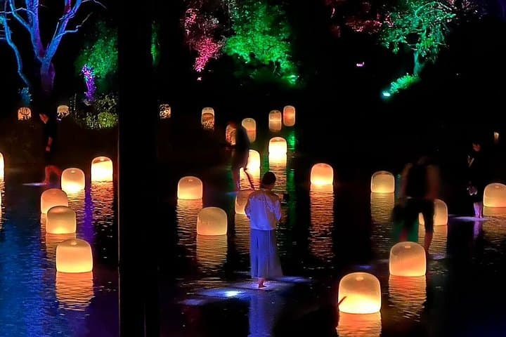 Frozen Fukuroda Falls, TeamLab Art & Ibaraki Gourmet Day Trip from Tokyo photo 4