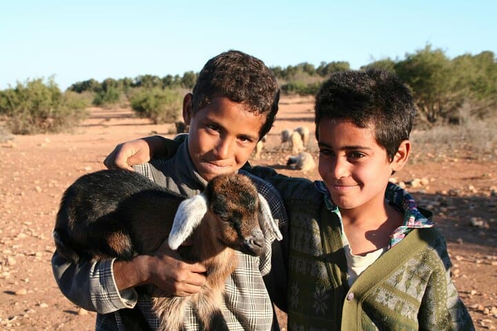 Surf & Explore Morocco: Essaouira, Imsouane & Taghazout 3-Day Coastal Surf Tour photo 2