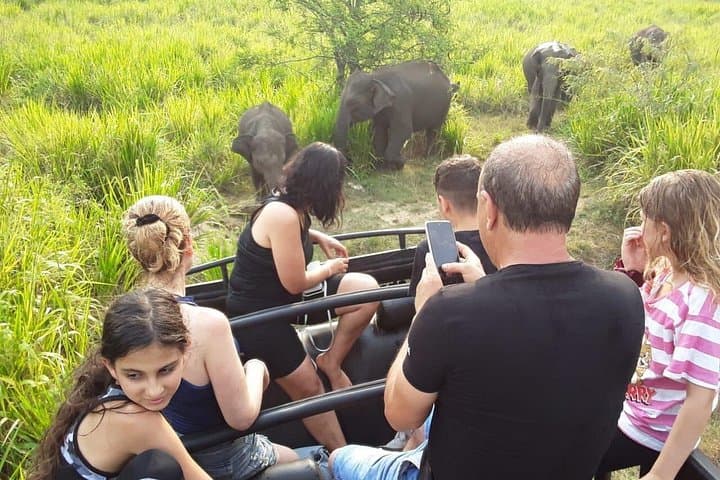Jeep Safaris & Village Experience in Habarana: Elephants, Ritigala, and Rural Sri Lanka photo 3