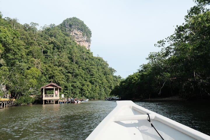 Private Mangrove Boat Tour: 2-Hour Kilim Geoforest Exploration, Langkawi photo 3