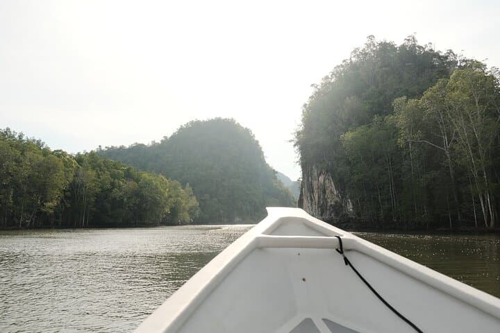 Private Mangrove Boat Tour: 2-Hour Kilim Geoforest Exploration, Langkawi photo 4