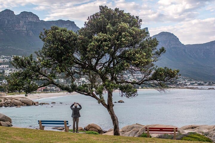 Cape of Good Hope Day Tour from Cape Town: Chapman’s Peak, Seal Cruises & Boulders Penguins photo 5
