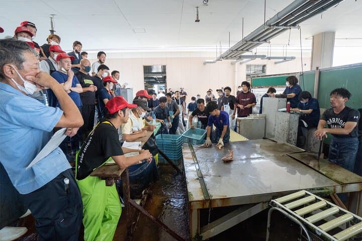 Akashi Private Tour: Live Fish Auction, Market Walk & Sushi Lunch