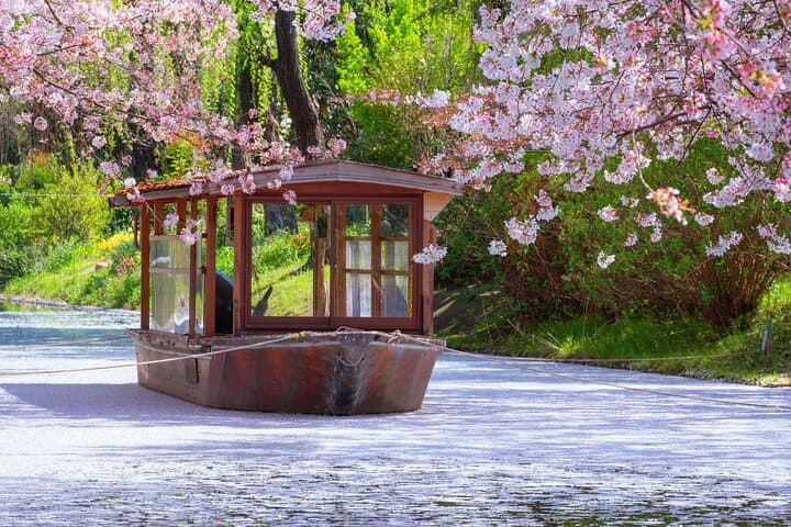 Kyoto and Nara Small Group Day Tour: Fushimi Inari, Arashiyama & Todai-ji in One Day photo 3