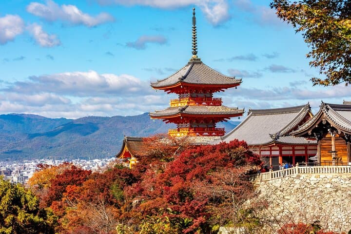 Kyoto and Nara Small Group Day Tour: Fushimi Inari, Arashiyama & Todai-ji in One Day photo 4