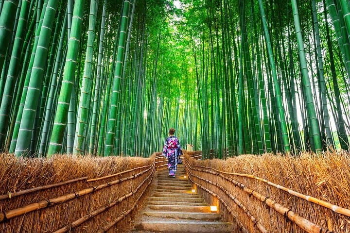 Kyoto and Nara Small Group Day Tour: Fushimi Inari, Arashiyama & Todai-ji in One Day photo 6