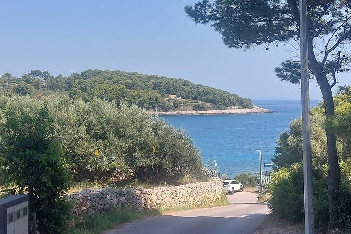 Korčula Private Island Tour with Local Guide — Beaches, Vineyards & History photo 6