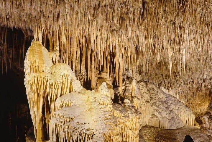 Drach Caves and Cuevas dels Hams Day Trip — Mallorca’s Underground Lakes and Coastal Charm photo 3