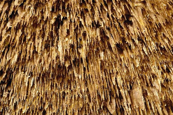 Drach Caves and Cuevas dels Hams Day Trip — Mallorca’s Underground Lakes and Coastal Charm photo 5