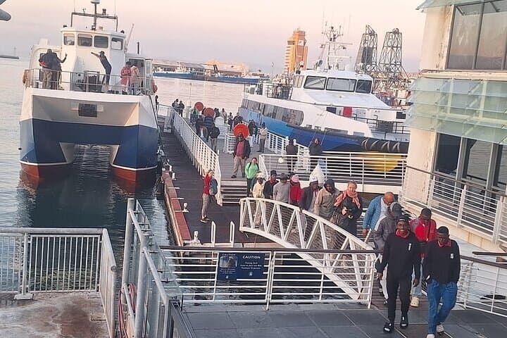 Robben Island Half-Day Tour from Cape Town with Transfers photo 3