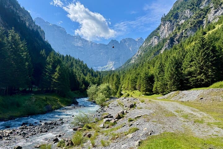 Alpine Food Tour: Swiss Delicacies with a View from Zurich