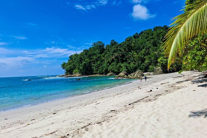 Manuel Antonio National Park: Guided Wildlife & Beach Day from Quepos photo 2