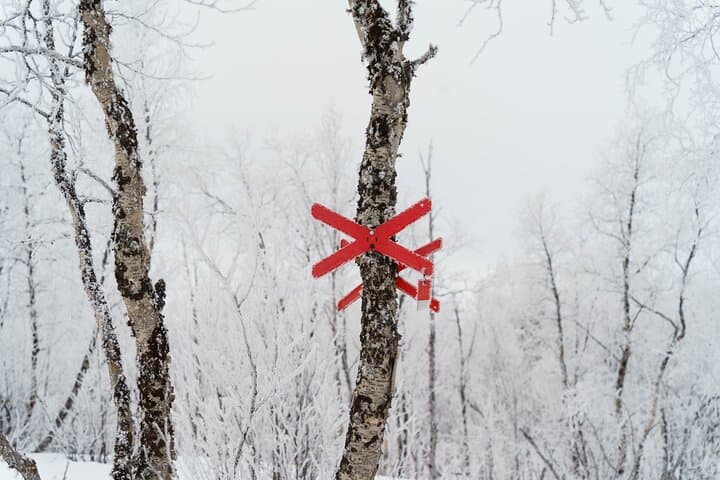 Explore Swedish Lapland: Thrilling Snowmobile Tour on the Frozen Torne River photo 2