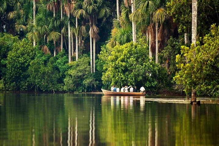 Lake Sandoval Wildlife Adventure — Canoe, Jungle Walk and Giant River Otters in Tambopata photo 2