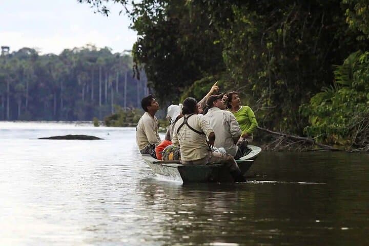 Lake Sandoval Wildlife Adventure — Canoe, Jungle Walk and Giant River Otters in Tambopata photo 3