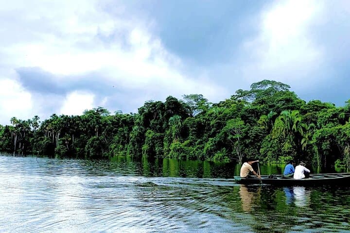 Lake Sandoval Wildlife Adventure — Canoe, Jungle Walk and Giant River Otters in Tambopata photo 4