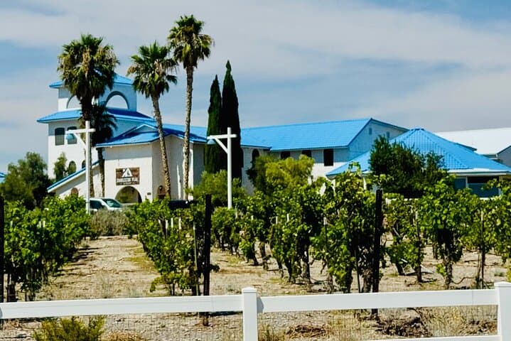 Scenic Wine Tasting Tour from Las Vegas to Pahrump — Wineries, Charcuterie & Desert Views photo 2