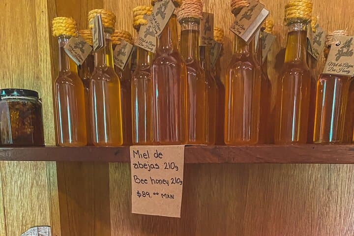 Private Chichén Itzá Mayan Honey Tour with Valladolid Lunch — Private Guided Day Trip photo 5