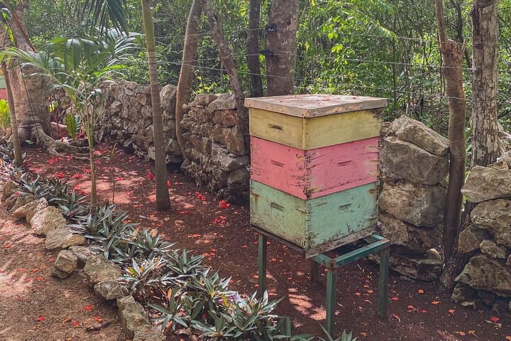 Private Chichén Itzá Mayan Honey Tour with Valladolid Lunch — Private Guided Day Trip