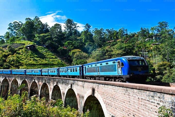8-Day Private Sri Lanka Round Tour — Beaches, Hill Country, Safari & Cultural Triangle photo 6
