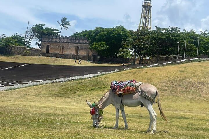 Puerto Plata City Tour — Ron, Puros & Historic Fortaleza Experience photo 4