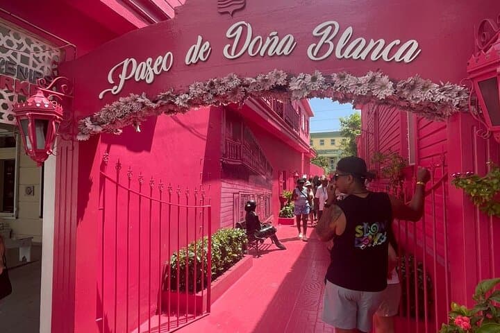 From Victorian Streets to 7 Natural Slides — Damajagua Waterfalls & Puerto Plata City Combo photo 5