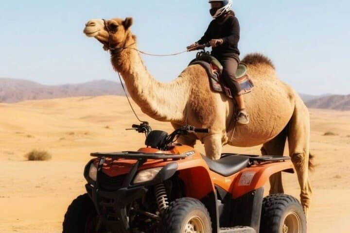 Agafay Desert Quad and Camel Sunset — Marrakech Evening Tour with Dinner & Show