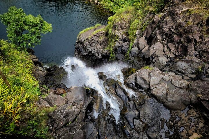 Halfway to Hana: Rainforest Waterfalls & Ke'anae Peninsula Half-Day Tour photo 3