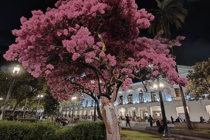Explore Quito’s Historic Center: Guided Walking Tour of Plaza Grande and La Compañía photo 2