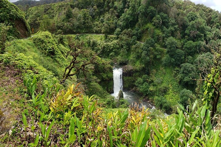 Halfway to Hana: Rainforest Waterfalls & Ke'anae Peninsula Half-Day Tour photo 5